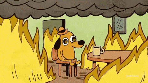 this is fine meme