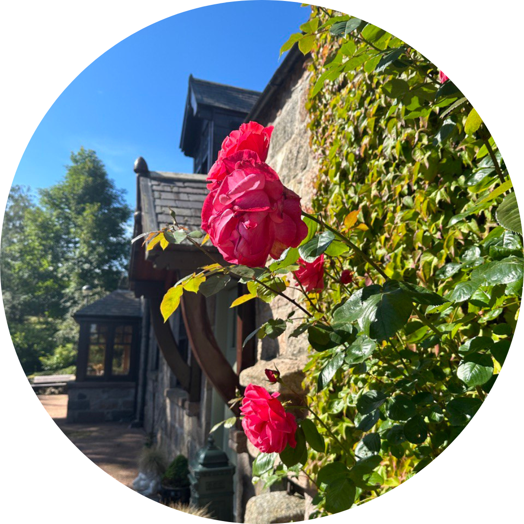 Awakening Alchemy Retreat Centre – Holistic Healing & Wellness Retreats in Aberdeenshire - Image 1