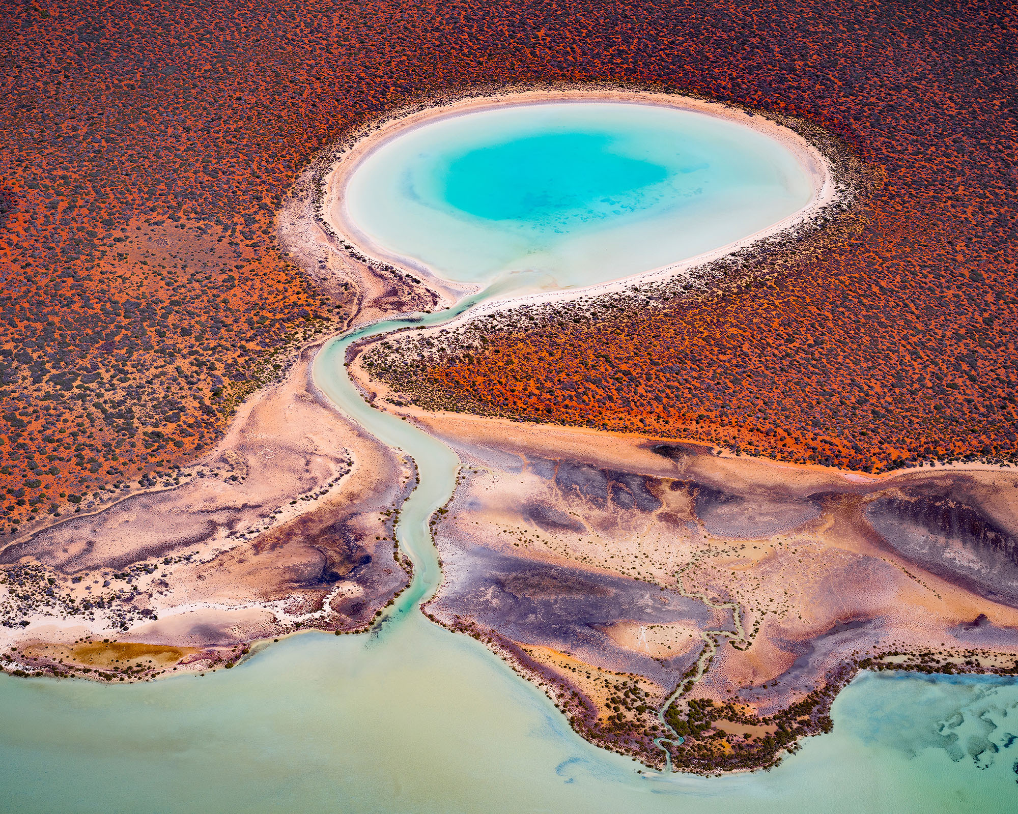 A lagoon filled with bright blue water - an iconic landscape of Shark Bay.