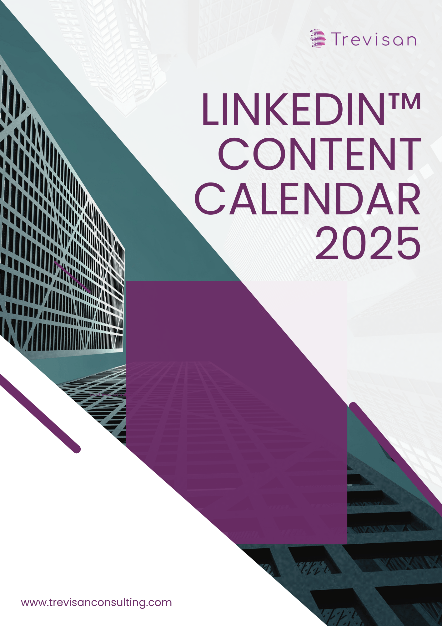 Social Media Calendar 2025