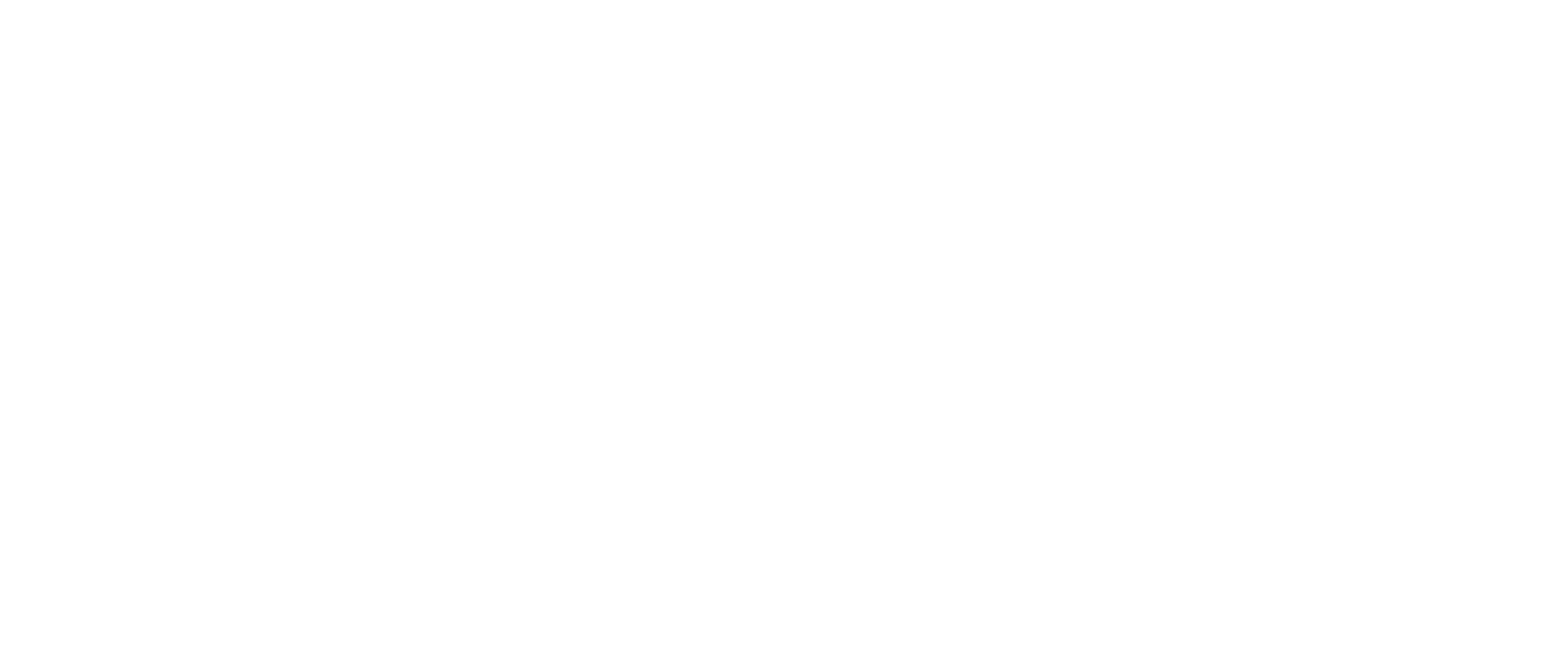 Sophie Stardust Logo