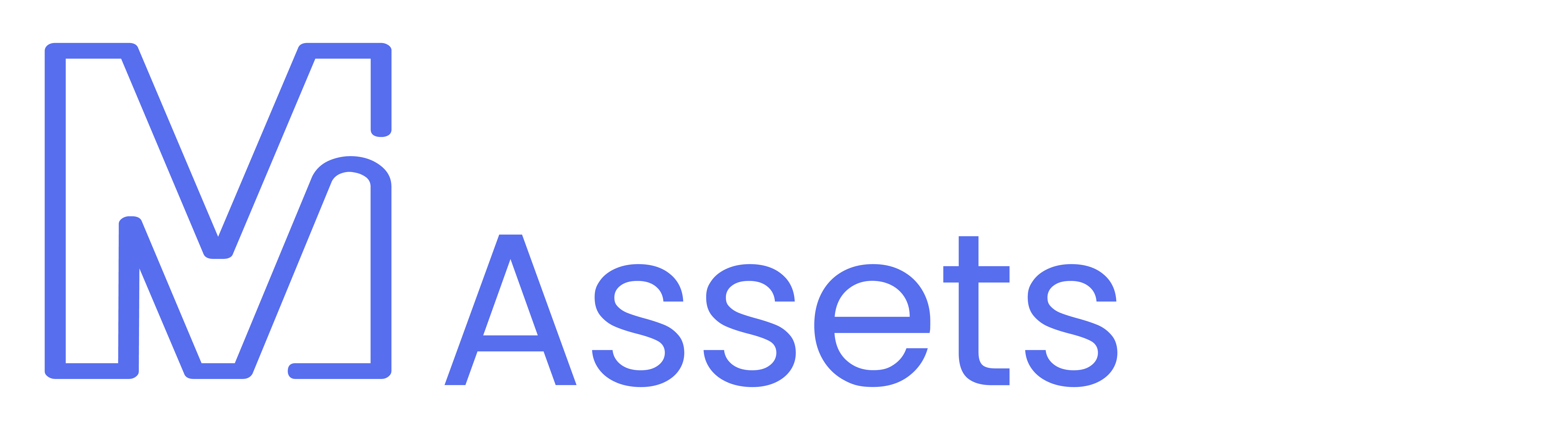 Mastering Assets - Homepage