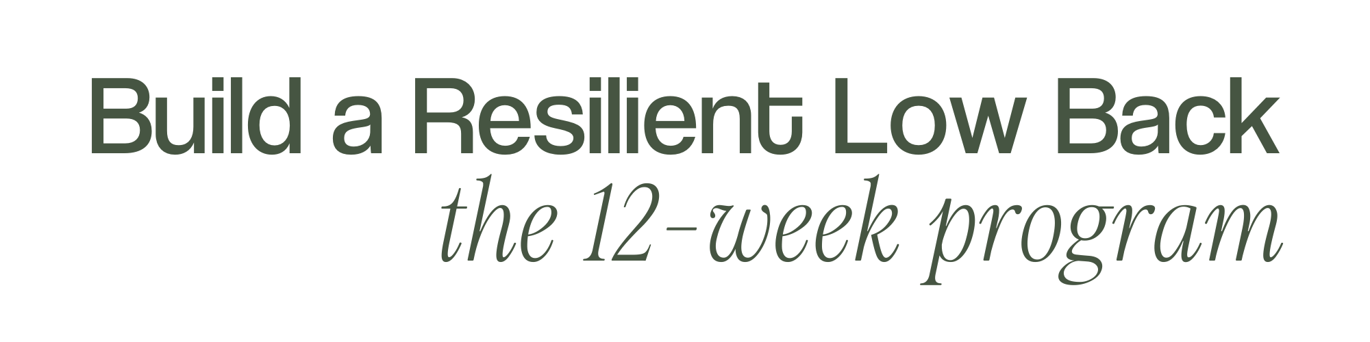 Build a Resilient Lower Back 12-Week Program