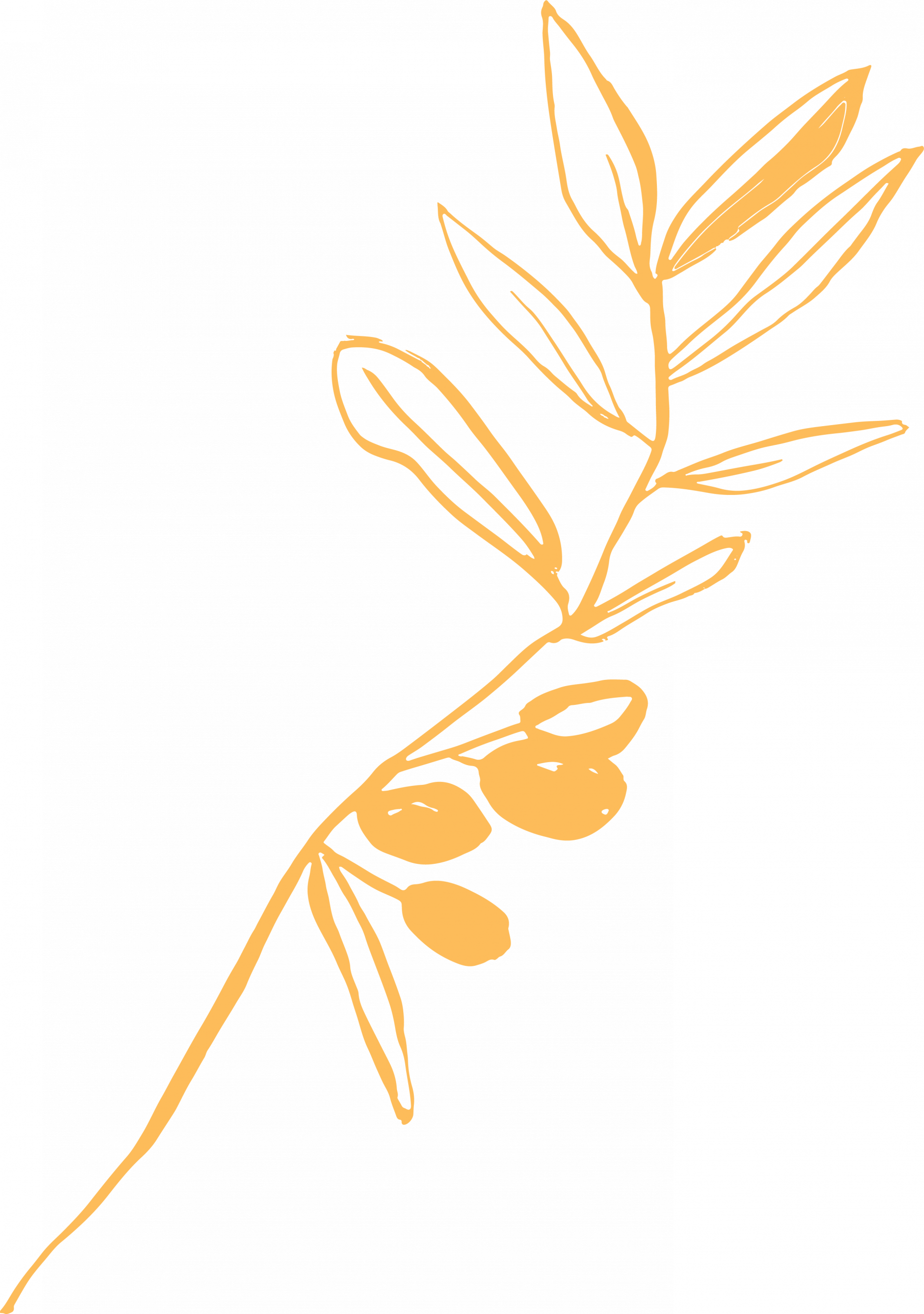 yellow flower