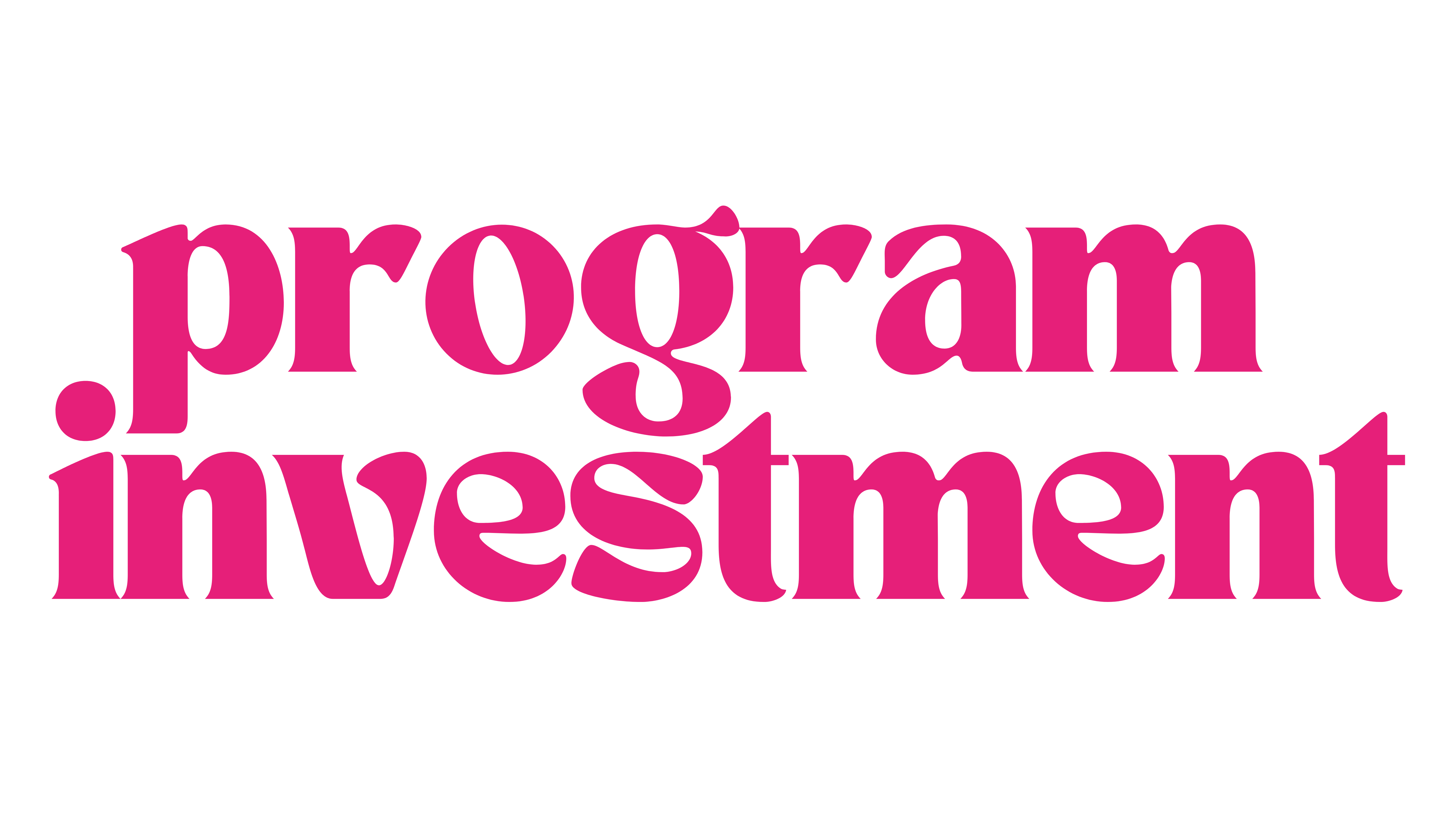 Program Investment