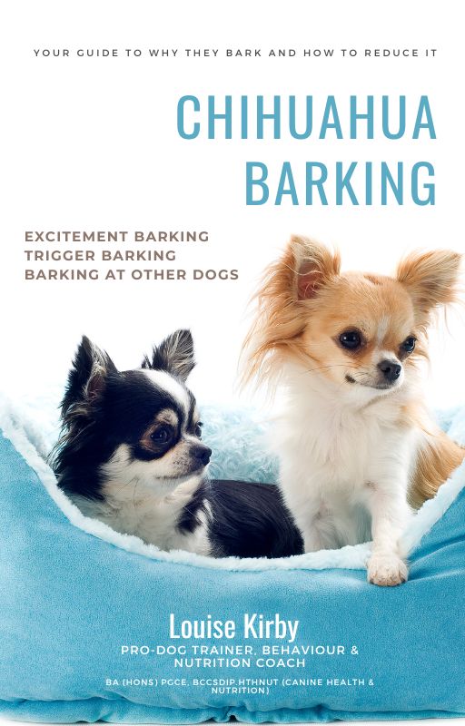 Chihuahua guide to reduce chihuahua barking