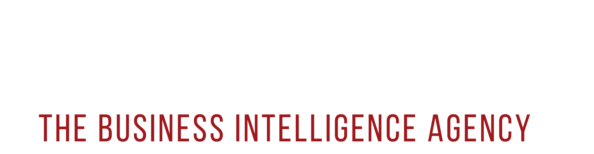 Secretsos™ The Business Intelligence Agency