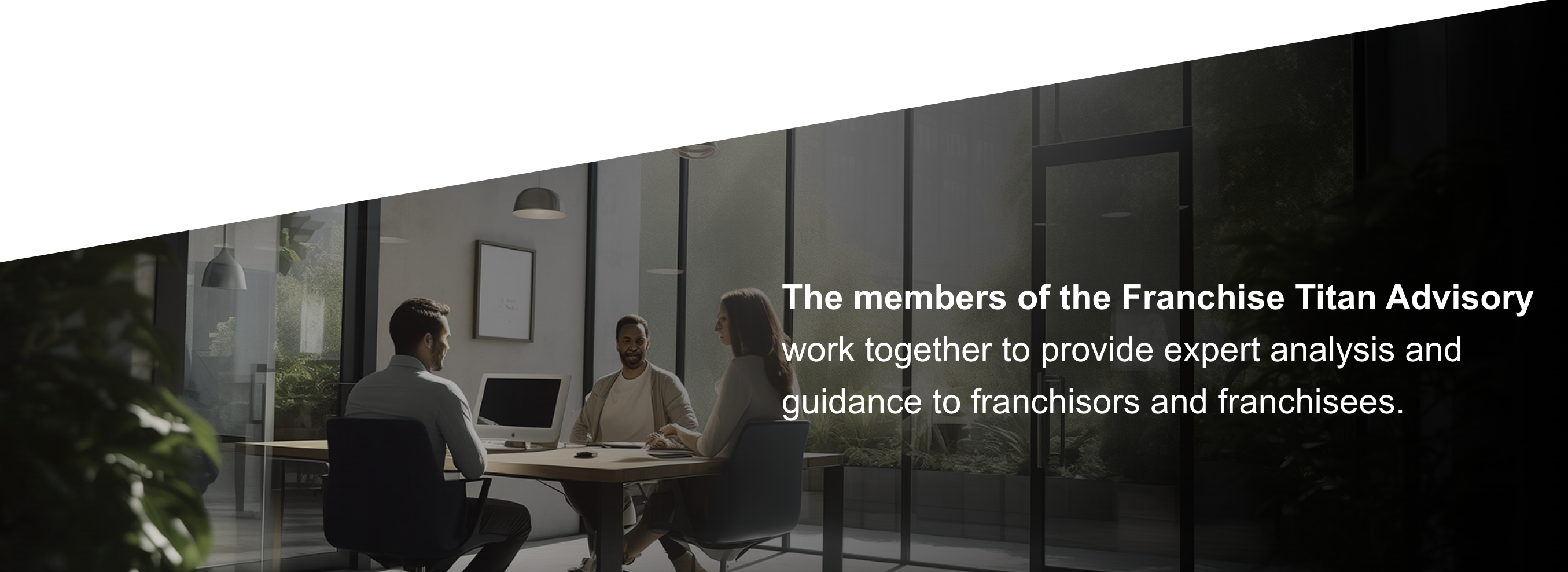 The members of the Franchise Titan Advisory work together to provide expert analysis and guidance to franchisors franchisees