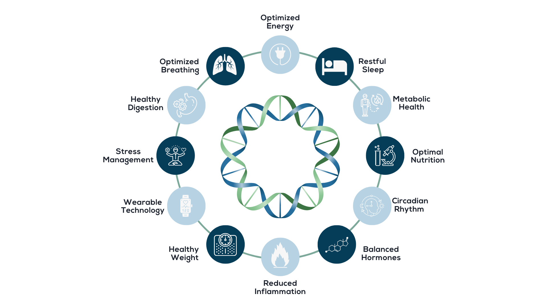 picture of metabolism
