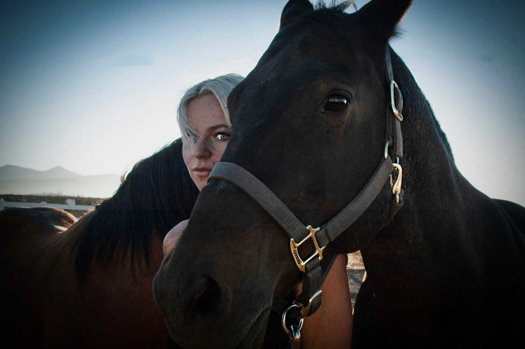 Julia Williamson About me