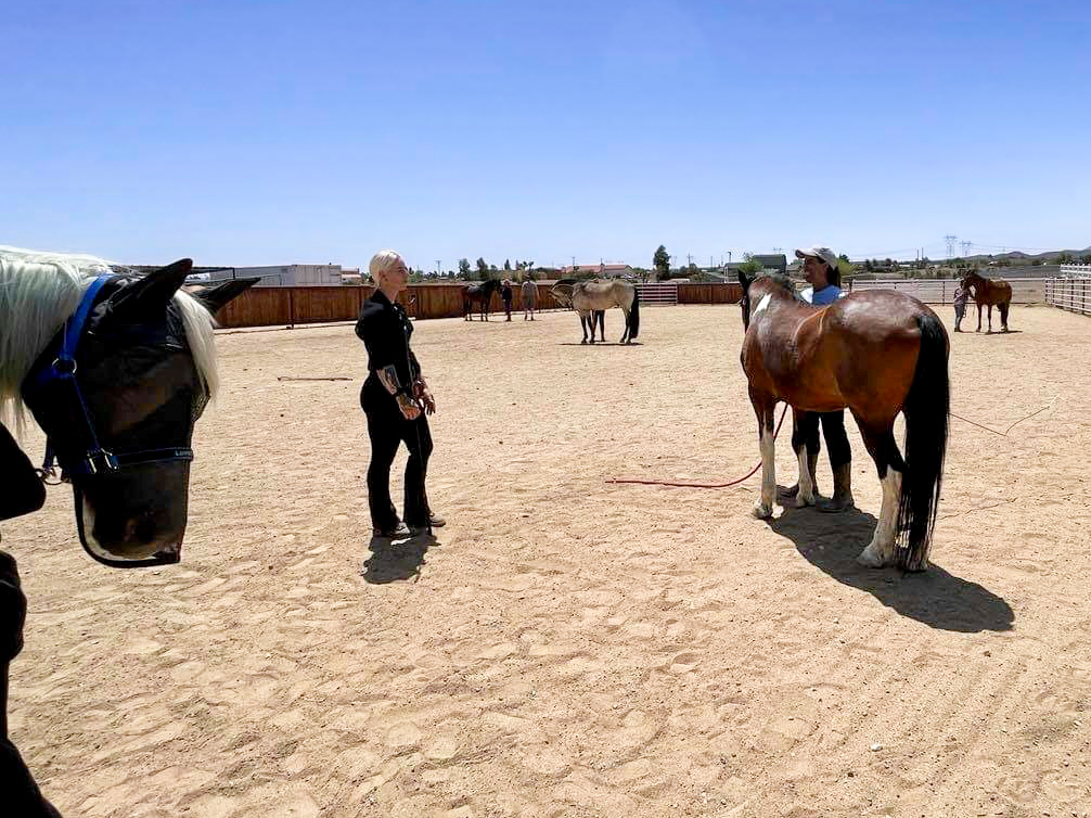 Julia Williamson - Liberty Clinic