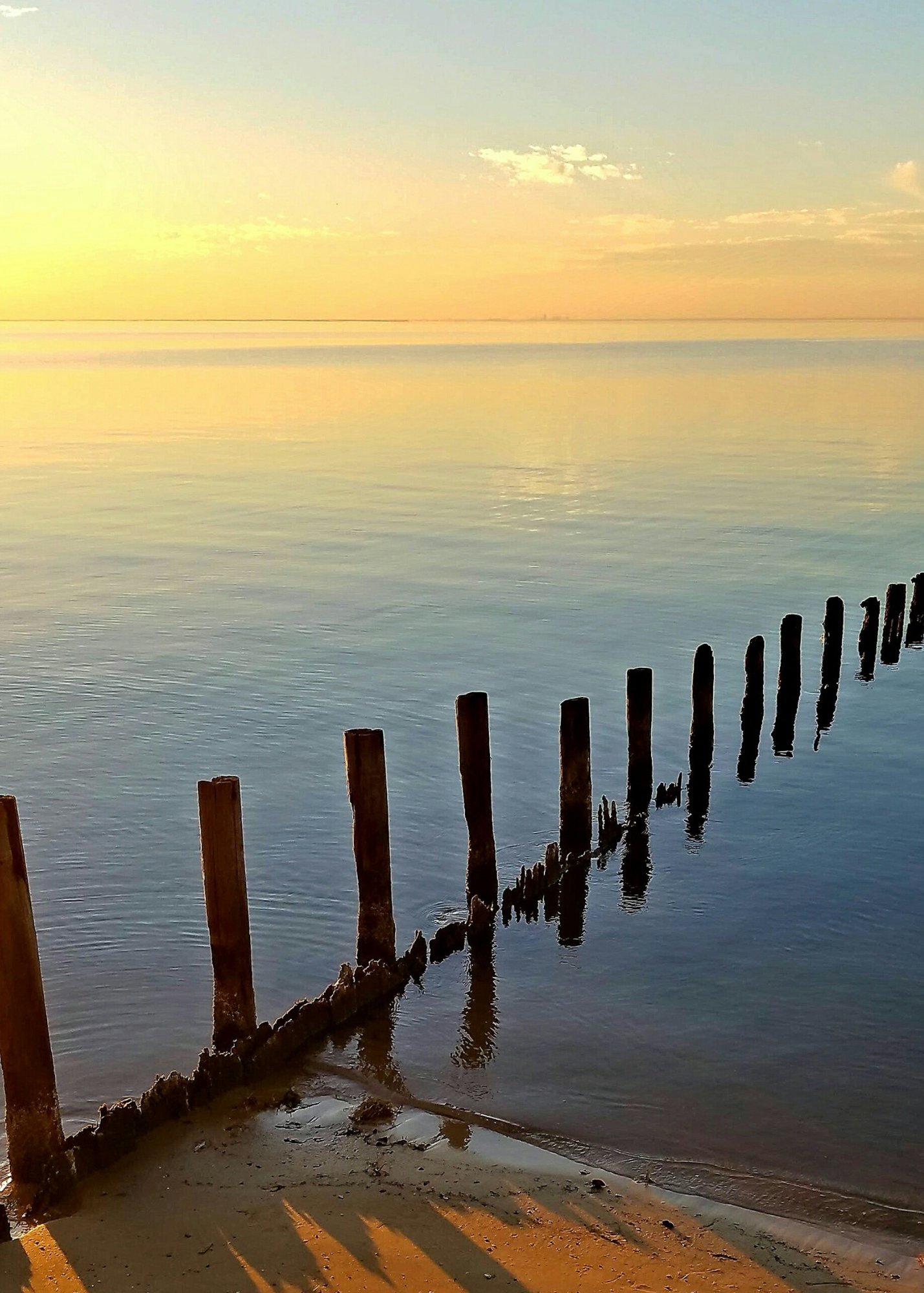 Cómo funciona havenoing