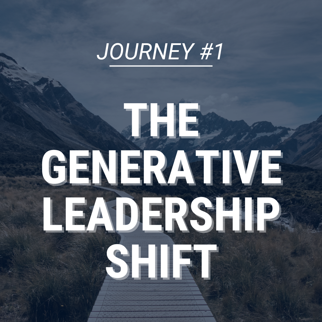 Executive coaching and leadership development