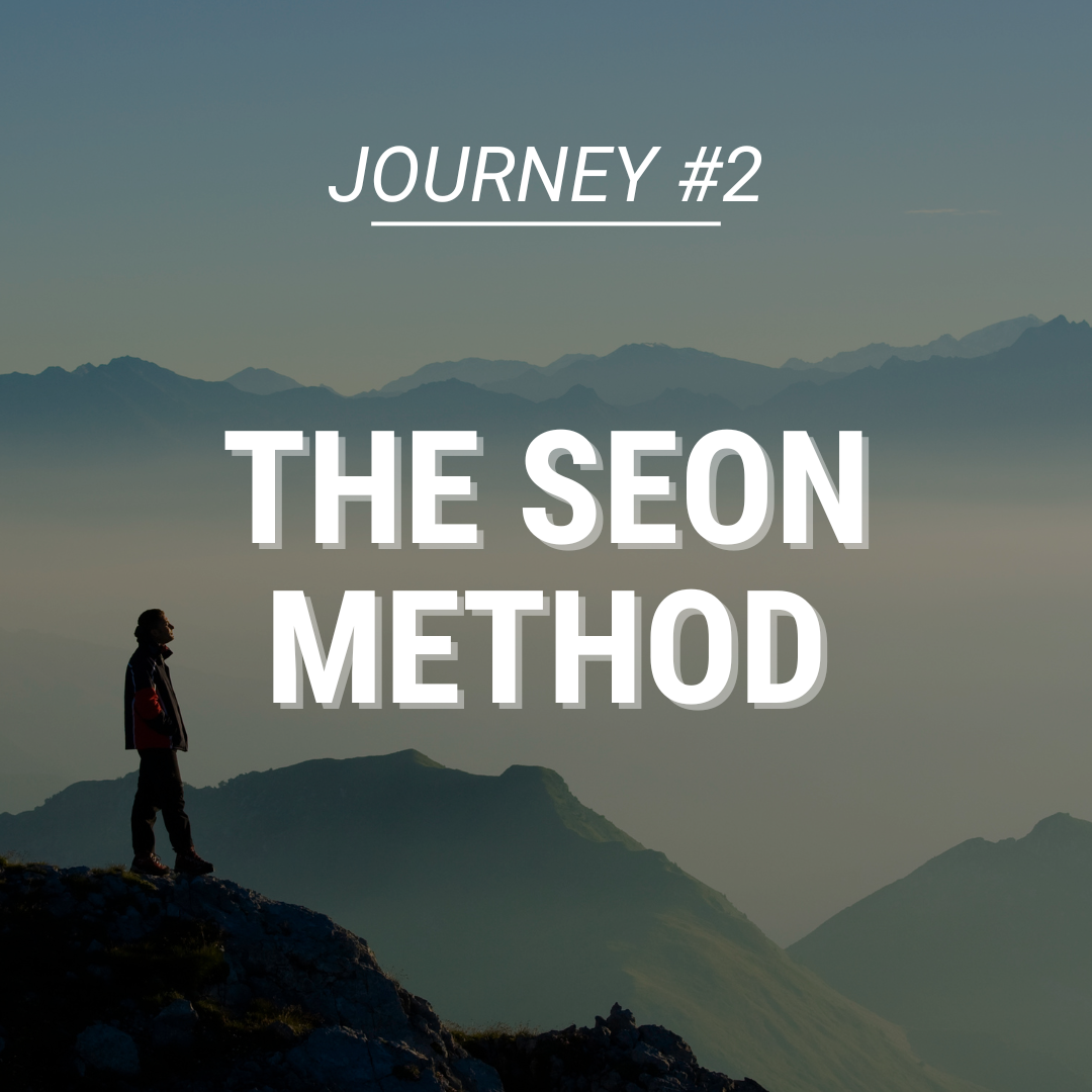 The Seon Method by Aldo Civico