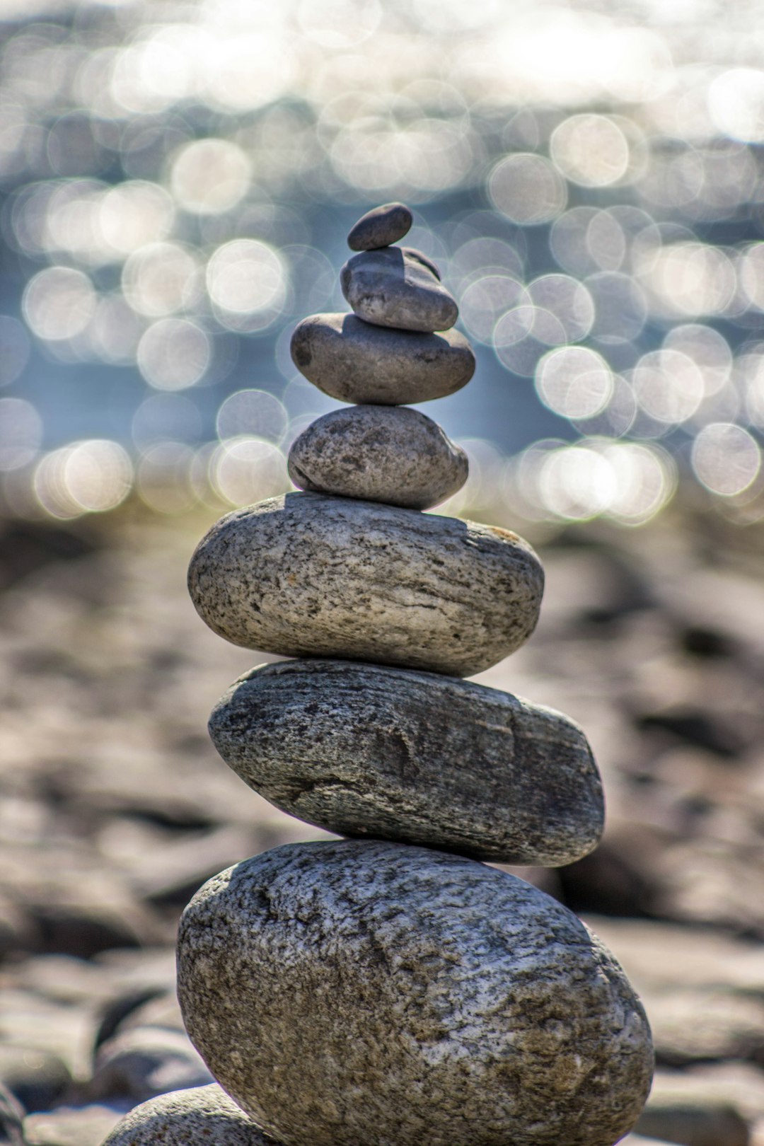 meditative space, calm in nature, clarity, aligned action, life's vision and purpose