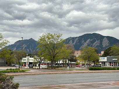 colorado top realtor