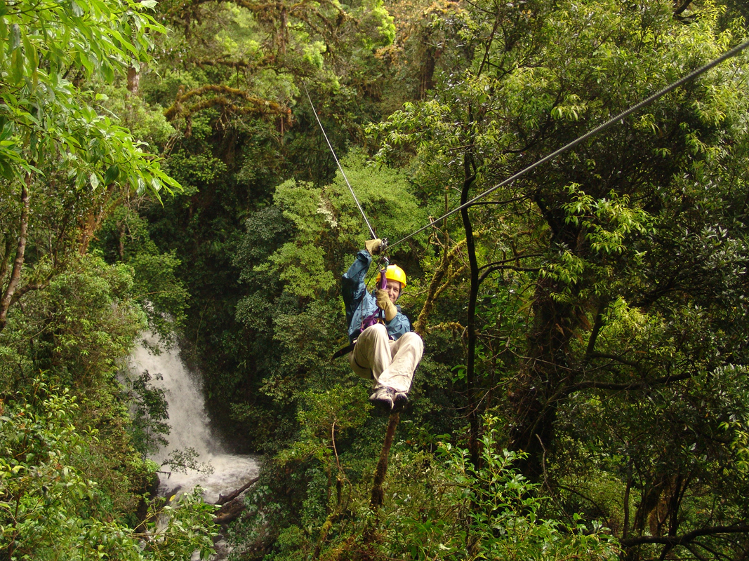 canopy tour
