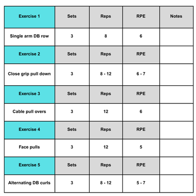 A five exercise sample pull workout.