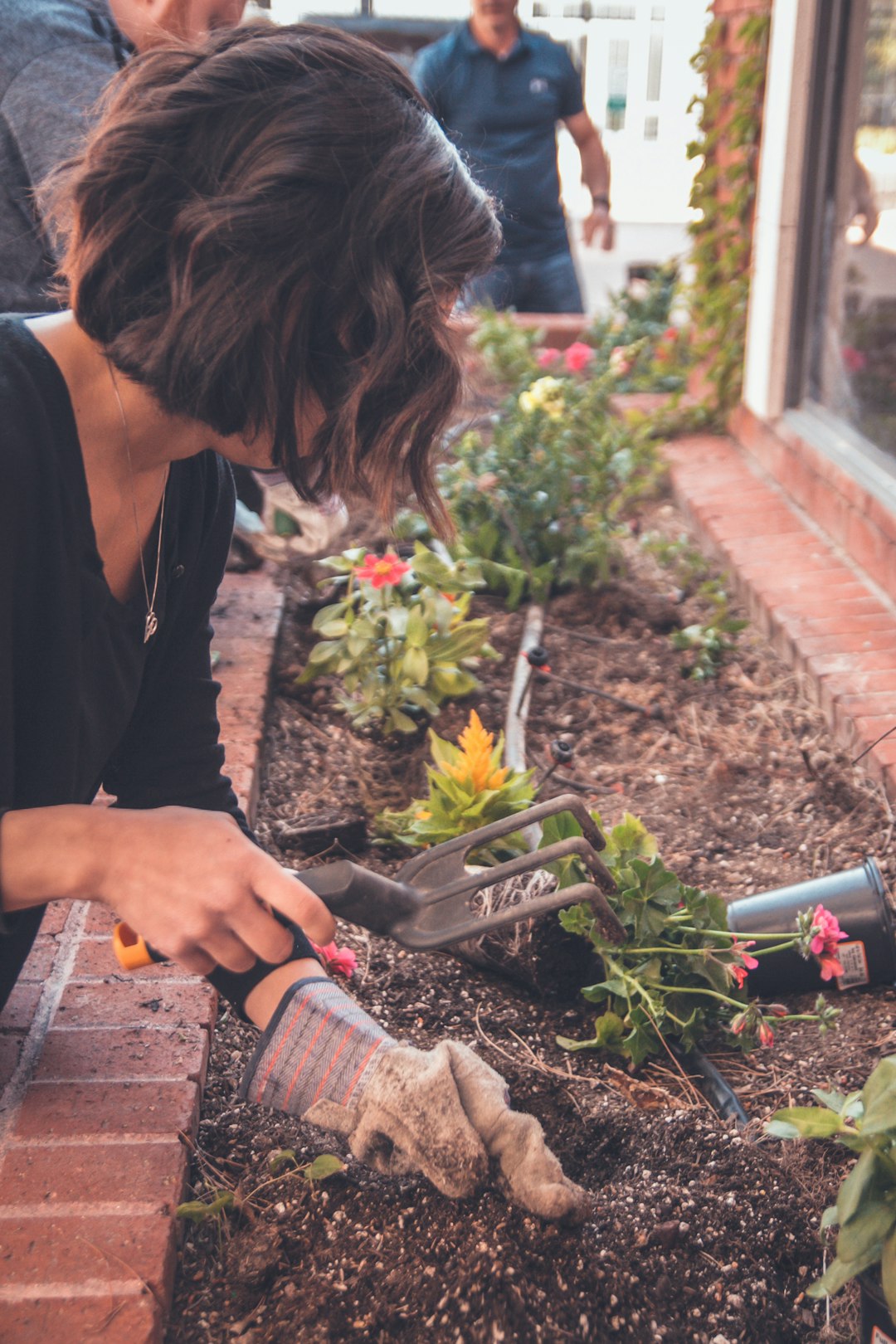 gardening in raised bed