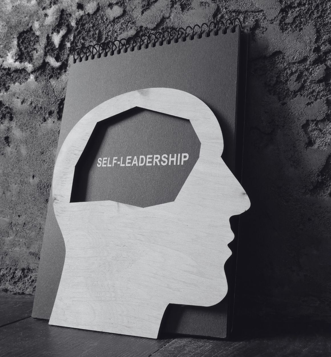 The Brainary - Self-Leadership Enrichment