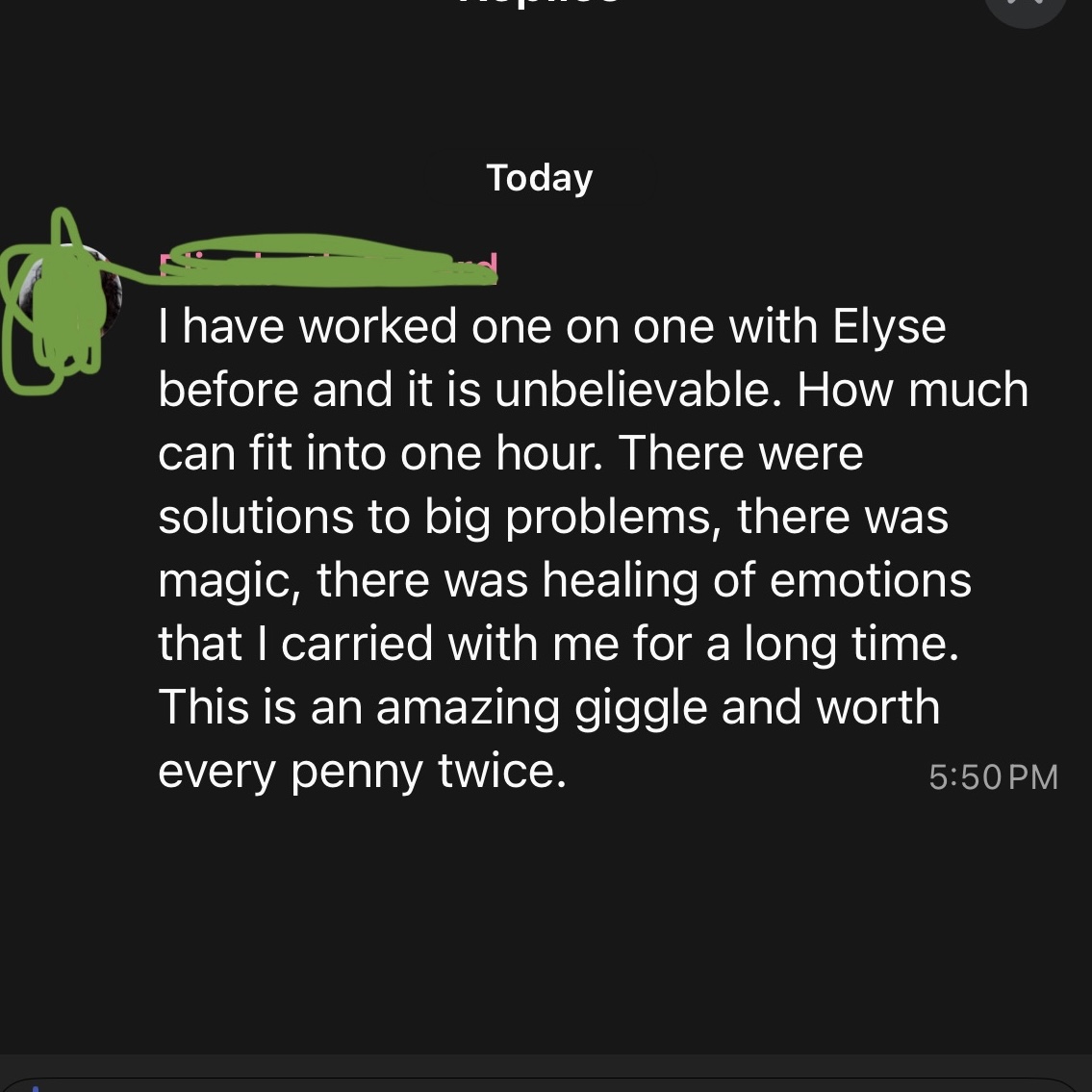 Elyse Mentorship Testimonial 2