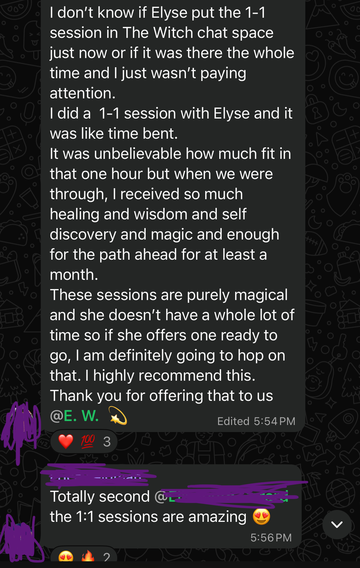 Elyse Mentorship Testimonial 1