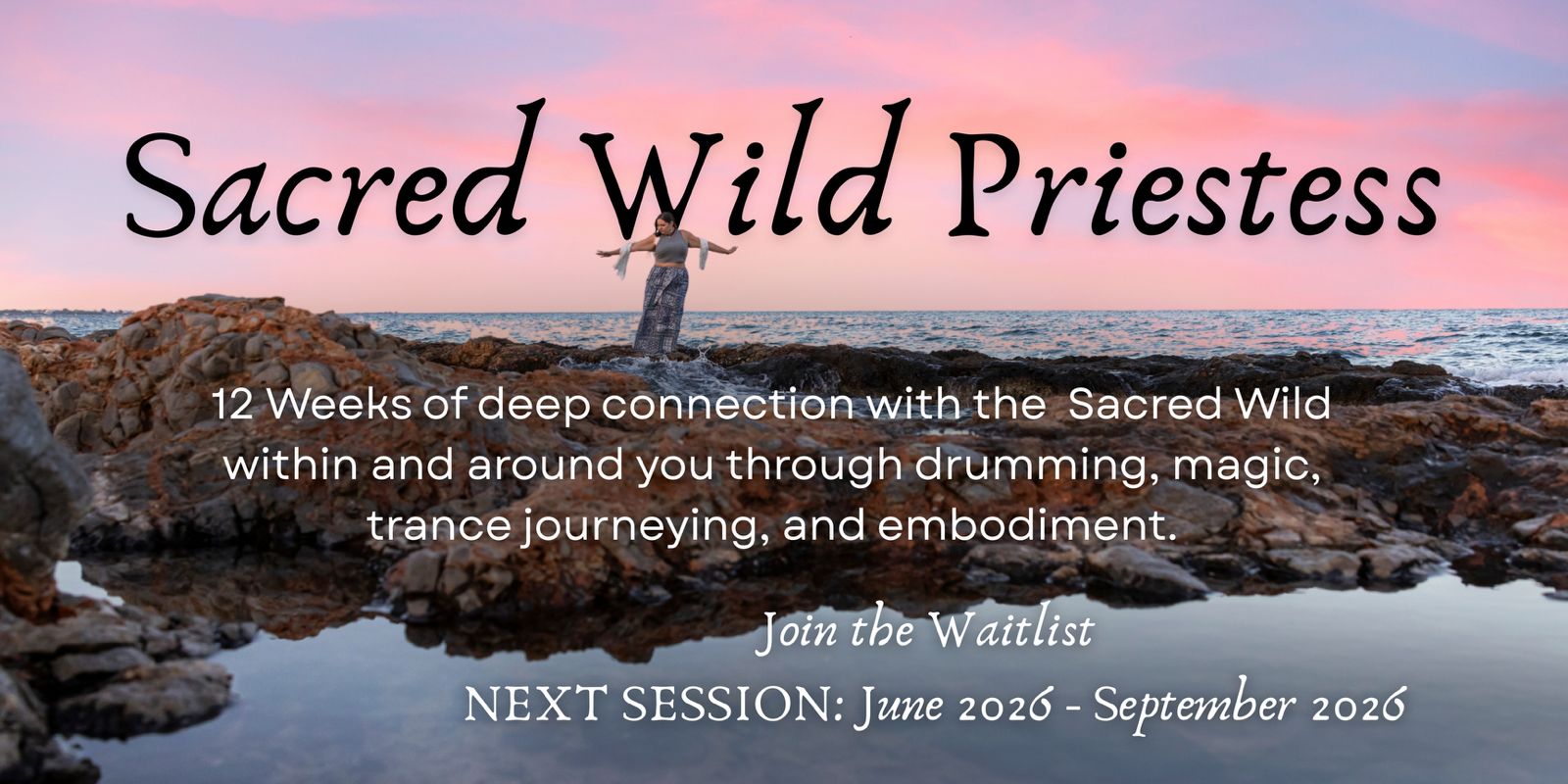 Sacred wild priestess banner image