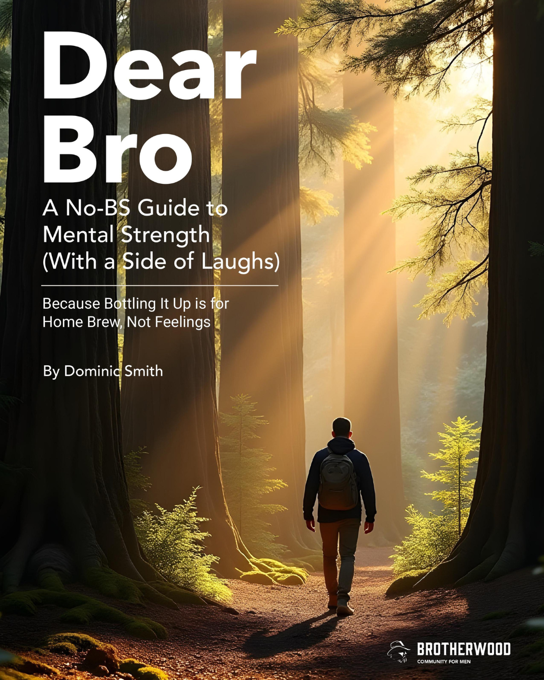 Dear Bro ebook cover