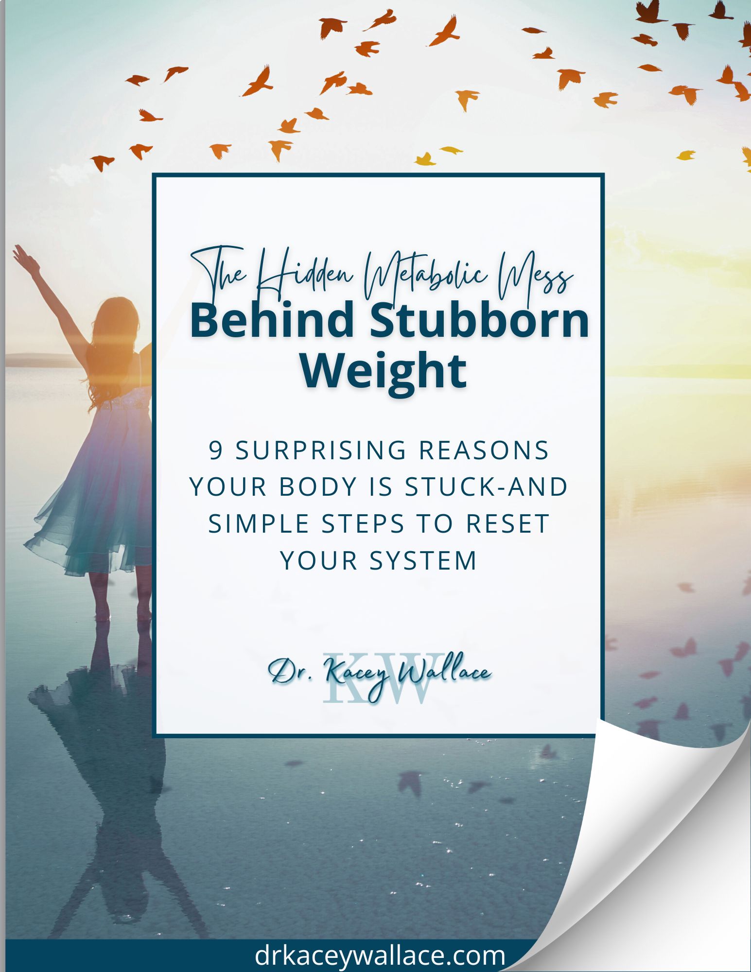 Immediate Practice Profits eBook Download