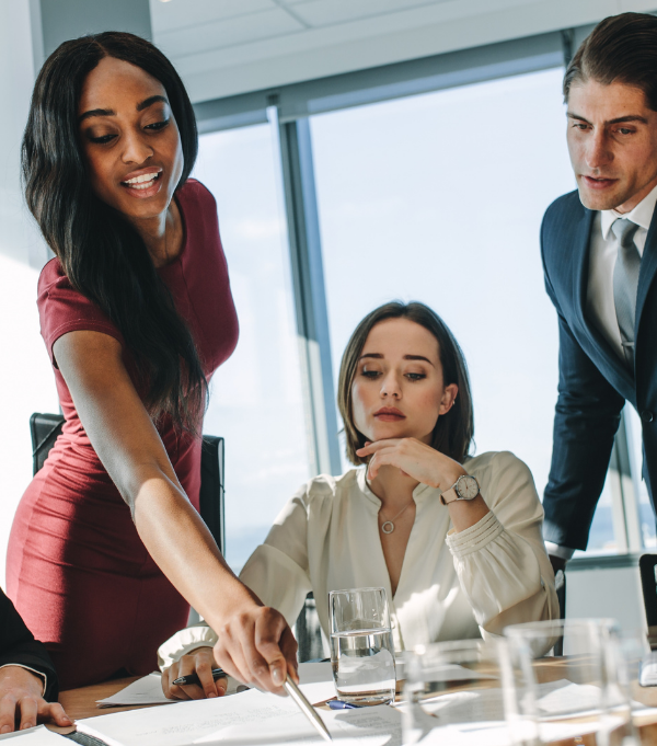 Alternative Consulting Group LLC