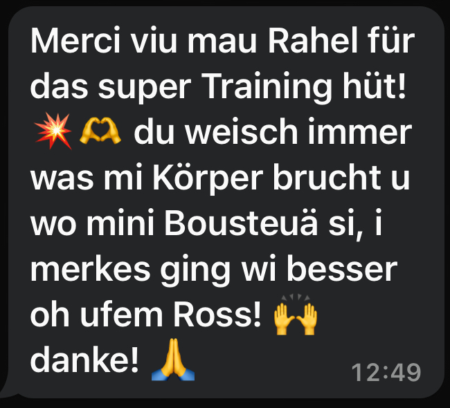 mobility_training_fuer_reiter_by_stronger_equestrians