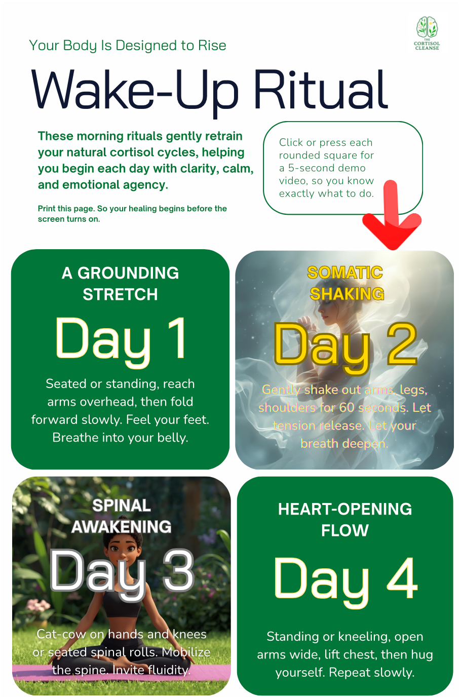 The Cortisol Cleanse - Rise & Release Rituals