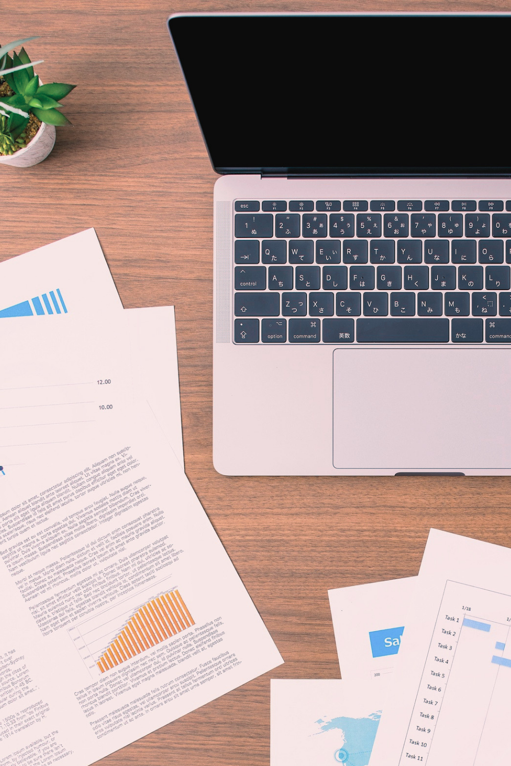 Business planning and organizational analysis