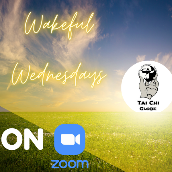 Tai Chi and Qigong Class on Zoom, Tai Chi Globe on Zoom