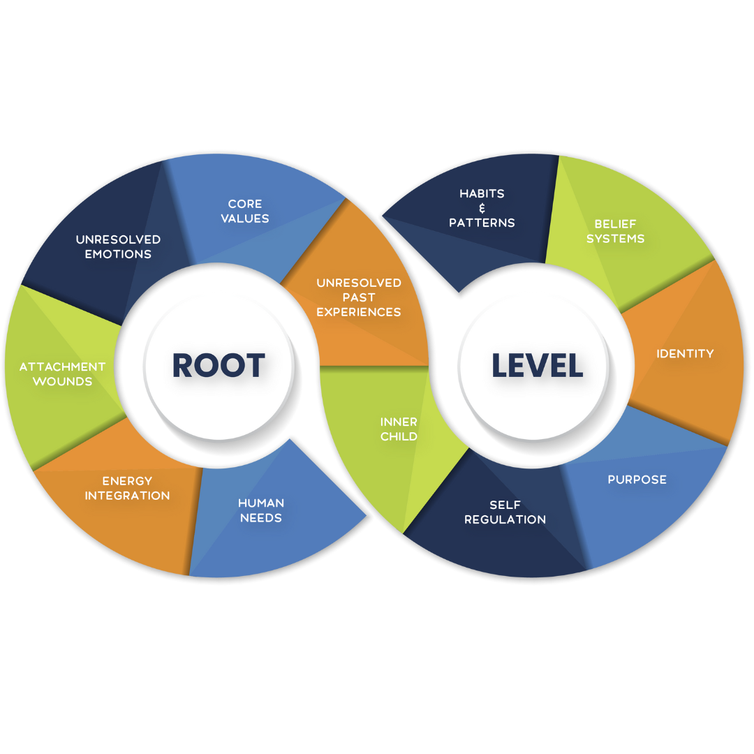Performance Pyramid - Root Level - The Wellness Theory