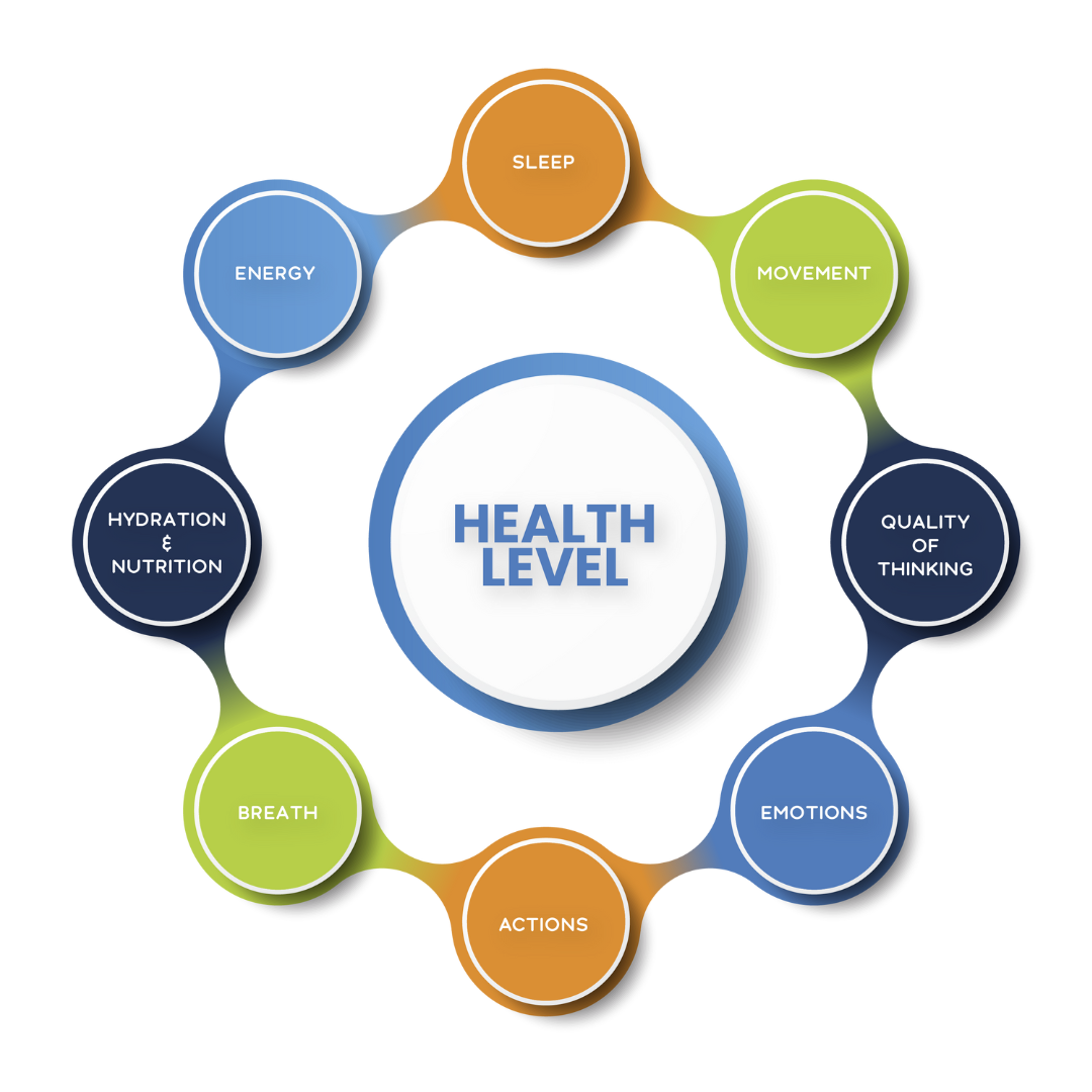 Performance Pyramid - Health Level - The Wellness Theory