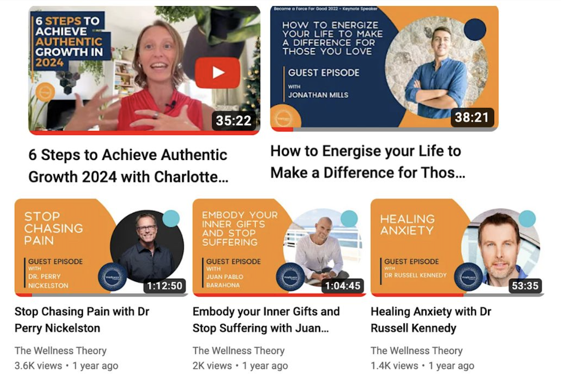 Wellness Theory YouTube