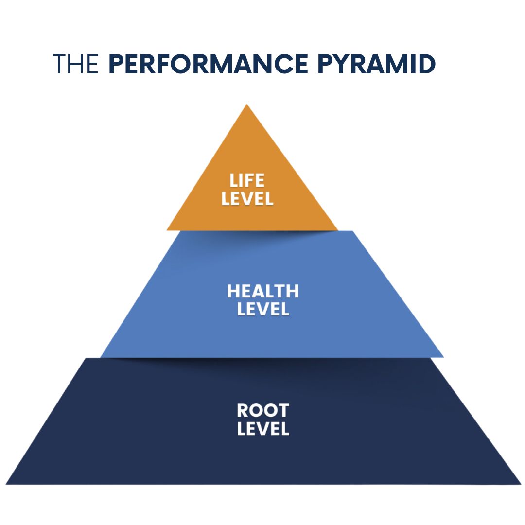 The Wellness Theory - Coaching