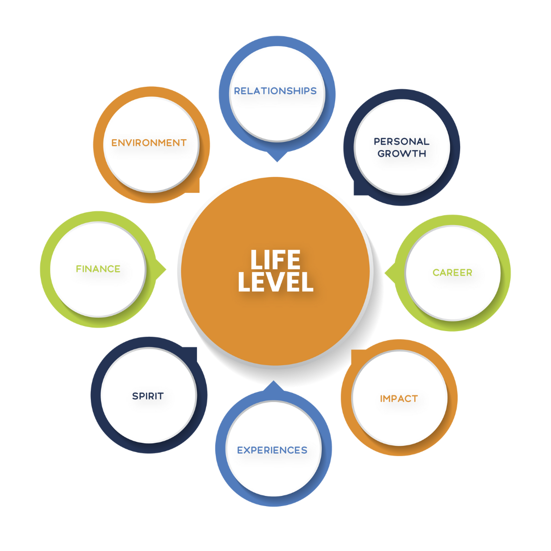 Performance Pyramid - Life Level - The Wellness Theory