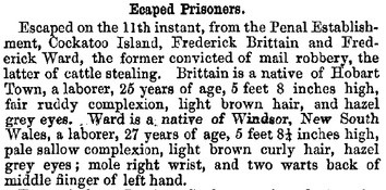 Police Gazette re Fred Ward 1863