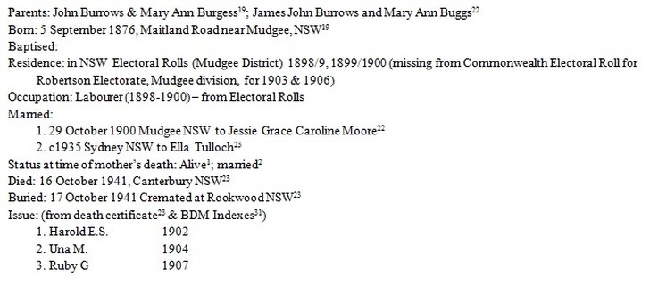 Mary Ann Bugg's son George Herbert Burrows